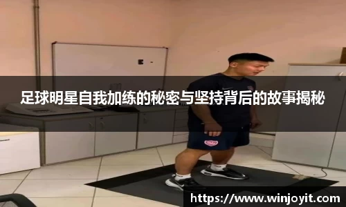 365WM完美体育官方app