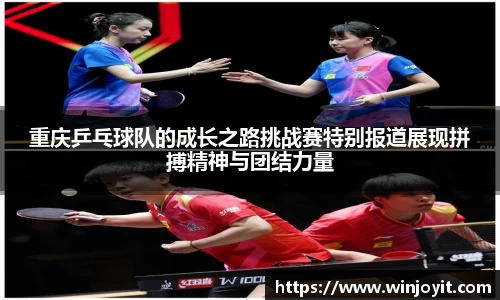 365WM完美体育官网